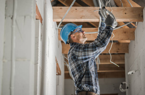 Best Generator Installation Services  in St Louis, MI